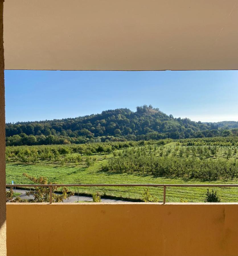Apartment- Metzingen ميتسنغن المظهر الخارجي الصورة